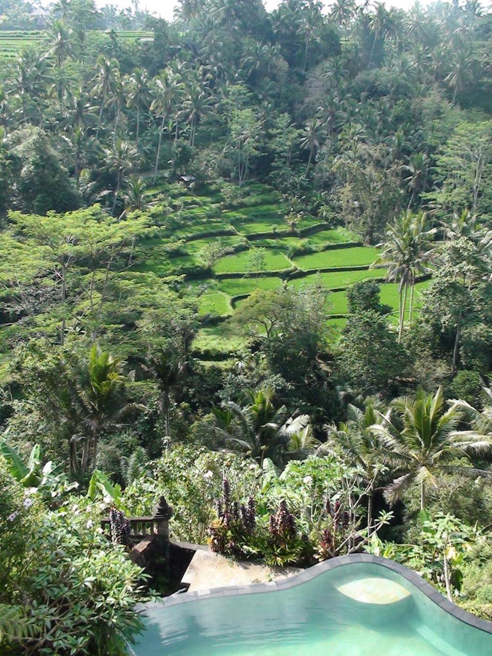 Tirta Asri Ubud Villa Exterior photo